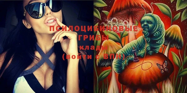 шишки Тобольск