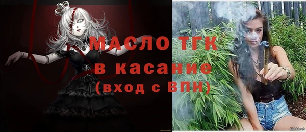 шишки Тобольск