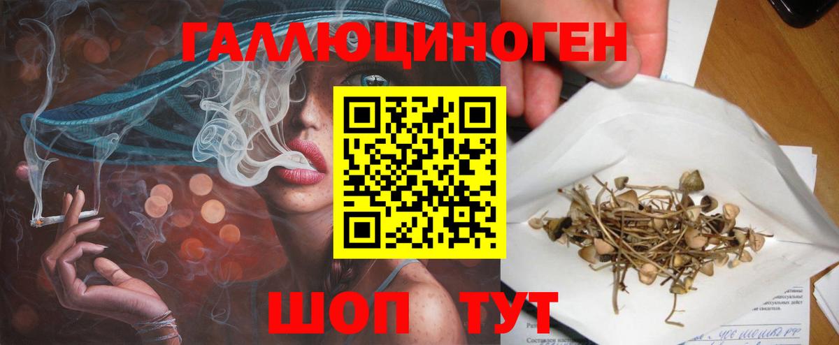 Псилоцибиновые грибы Psilocybine cubensis Медногорск